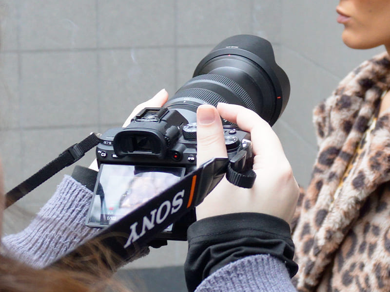 cinéma & arts visuels